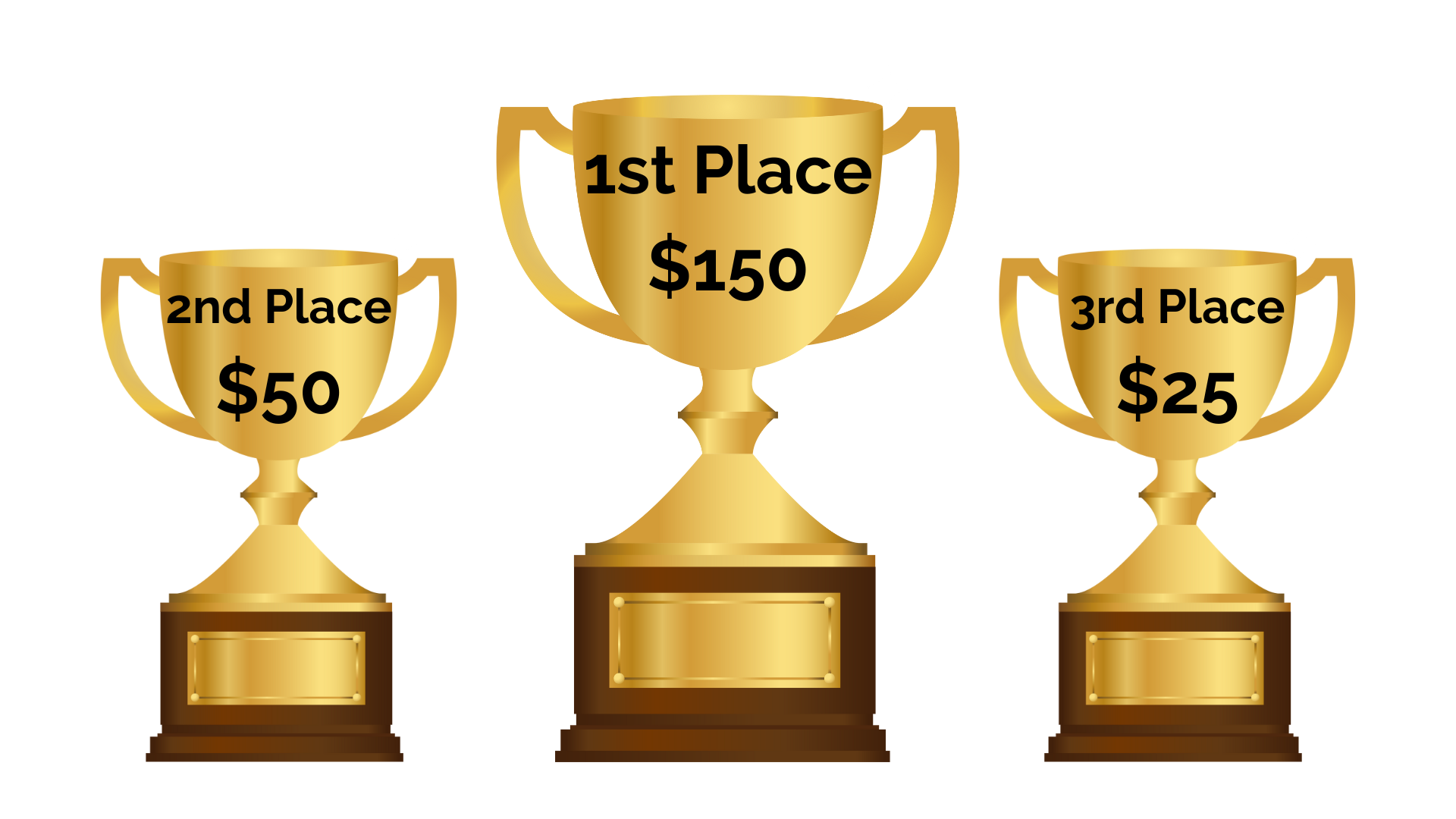new-launch-contest