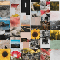 Pinterest Shuffles to create a collage. 