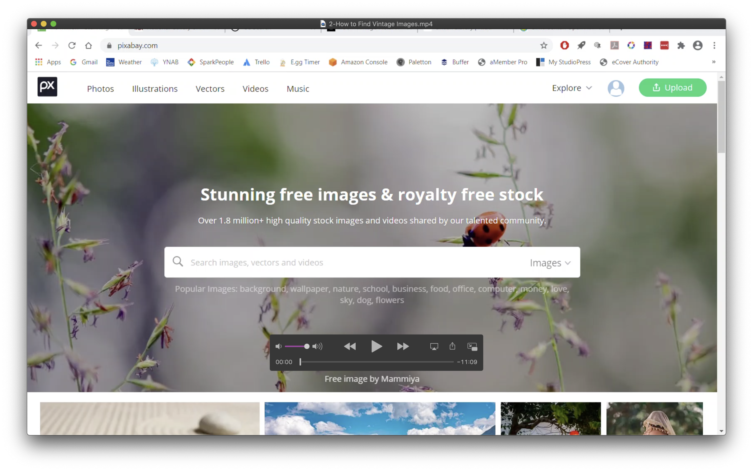 video screenshot
